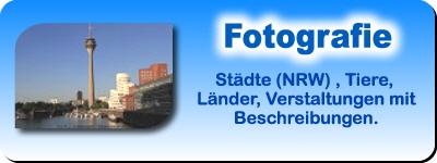 Bild: Fotgrafie - Tausende Fotos