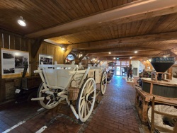 fotografie-16