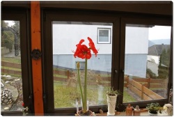fotografie-3