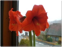 fotografie-6
