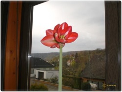 fotografie-8