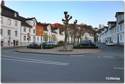 fotografie-1
