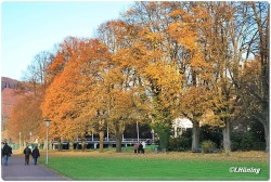 fotografie-32