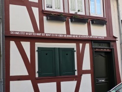 fotografie-9