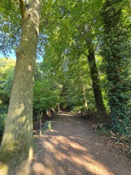 fotografie-12