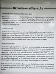 fotografie-1