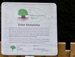 fotografie-5