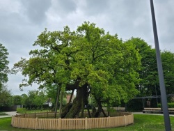fotografie-7