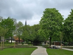 fotografie-10