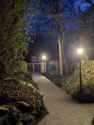 fotografie-11