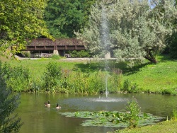 fotografie-12