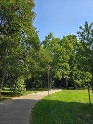 fotografie-15