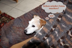 fotografie-6