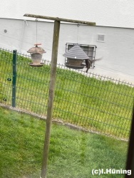 fotografie-6