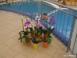 fotografie-13