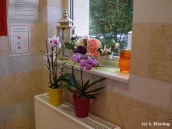 fotografie-37