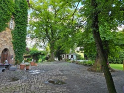 fotografie-5