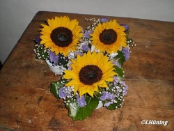 fotografie-15