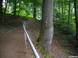 fotografie-9