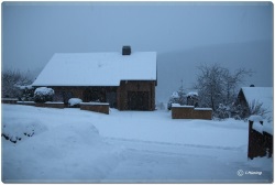 fotografie-7