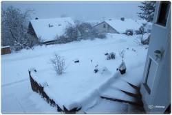 fotografie-9
