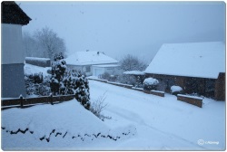 fotografie-10