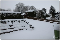fotografie-13