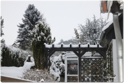 fotografie-15