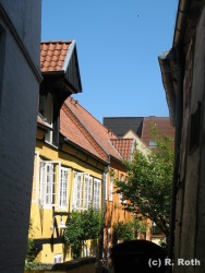 fotografie-49