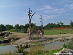 fotografie-201