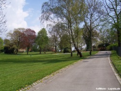 fotografie-1