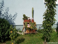 fotografie-8