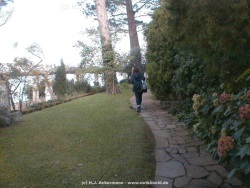 fotografie-5