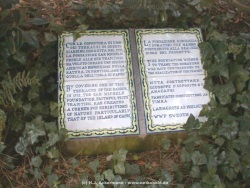 fotografie-11