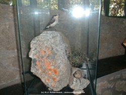 fotografie-12