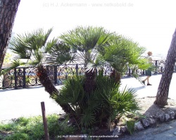 fotografie-38