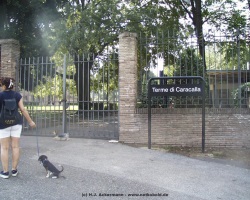 fotografie-51