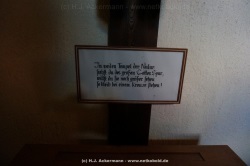 fotografie-16