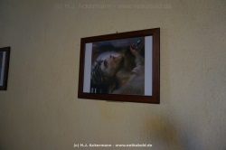 fotografie-20