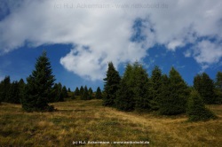 fotografie-44