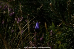 fotografie-47