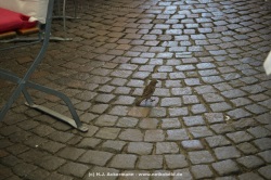 fotografie-121