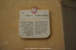 fotografie-19