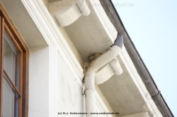 fotografie-174
