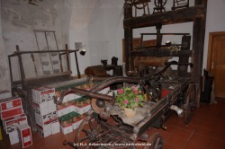 fotografie-10