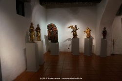 fotografie-153