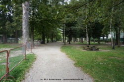 fotografie-6