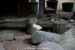 fotografie-7