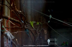 fotografie-127