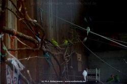 fotografie-128